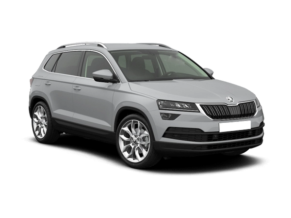 Skoda Karoq Серый